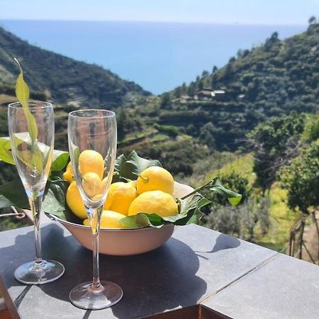 ☆ Terrace & Relax ☆ Casa Franceschin_ Homy 5 Terre Villa Riomaggiore Bagian luar foto