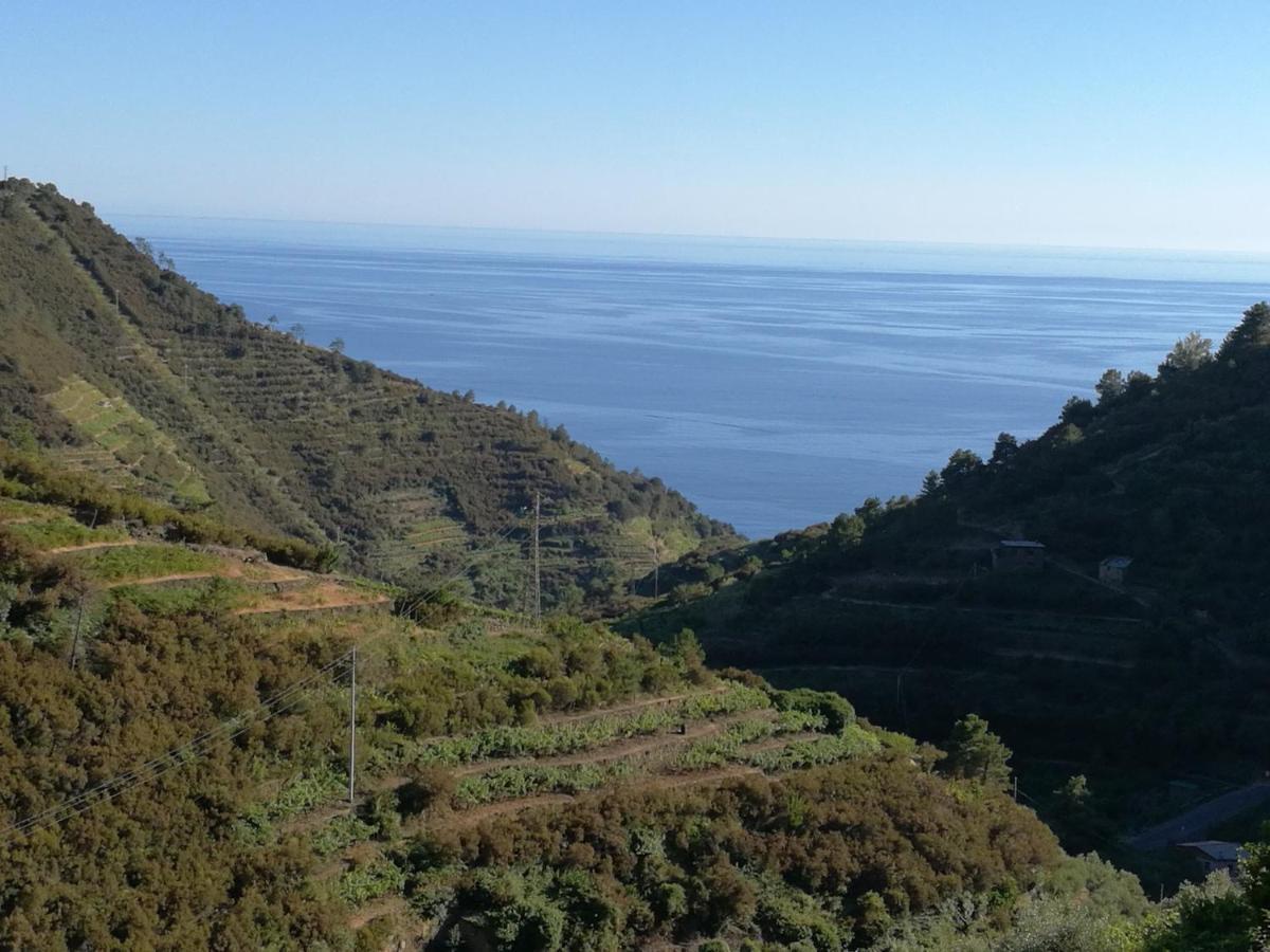 ☆ Terrace & Relax ☆ Casa Franceschin_ Homy 5 Terre Villa Riomaggiore Bagian luar foto