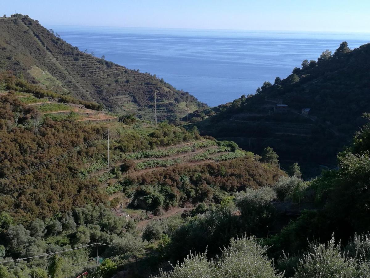 ☆ Terrace & Relax ☆ Casa Franceschin_ Homy 5 Terre Villa Riomaggiore Bagian luar foto