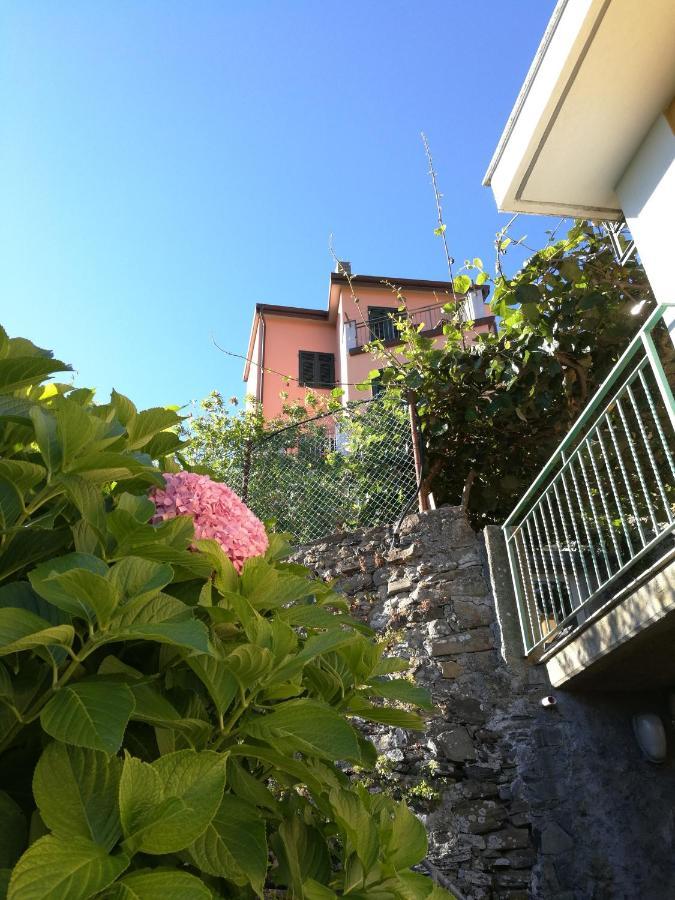 ☆ Terrace & Relax ☆ Casa Franceschin_ Homy 5 Terre Villa Riomaggiore Bagian luar foto